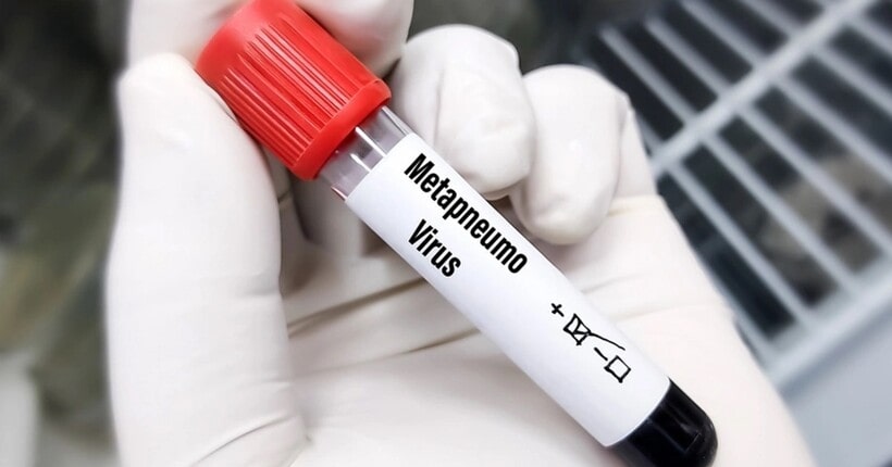 Вірус грипу B та метапневмовірус: чим хворіють на Тернопільщині