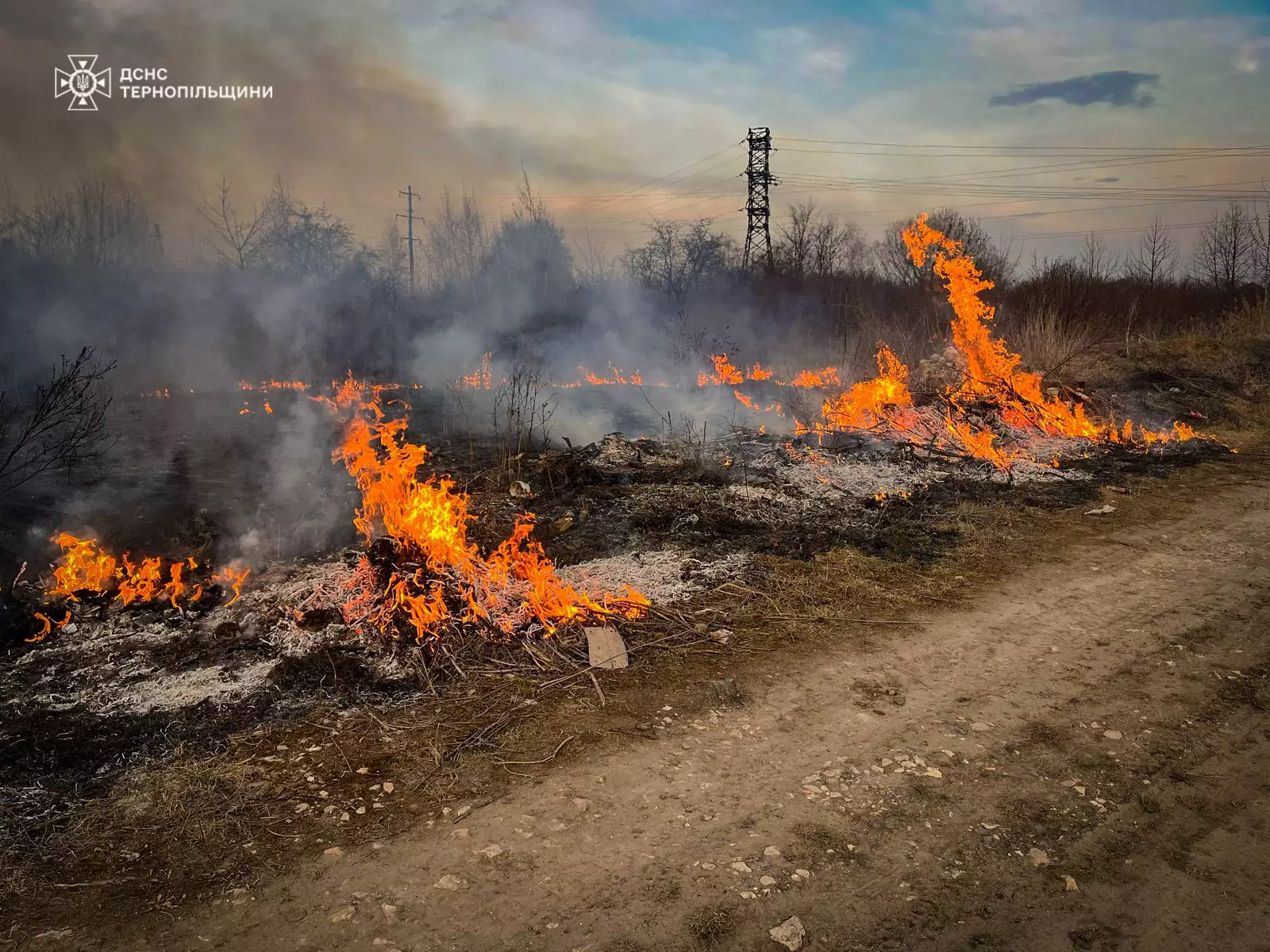 Лише впродовж 10 березня на Тернопільщині виникло 49 пожеж