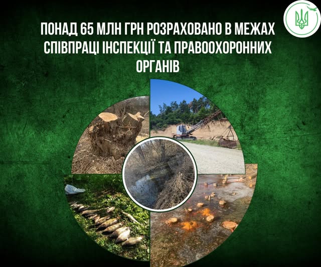 На Тернопільщині довкілля нищать шаленими темпами — збитки вже перевищили 65 мільйонів гривень