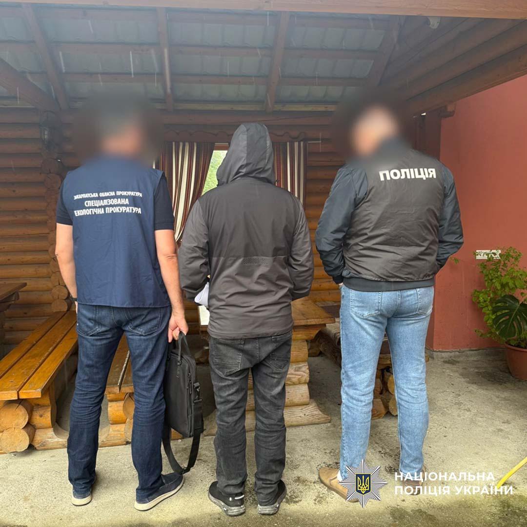 Масштабна незаконна вирубка Карпат: посадовцю лісгоспу оголошено підозру за сприяння масовій вирубці