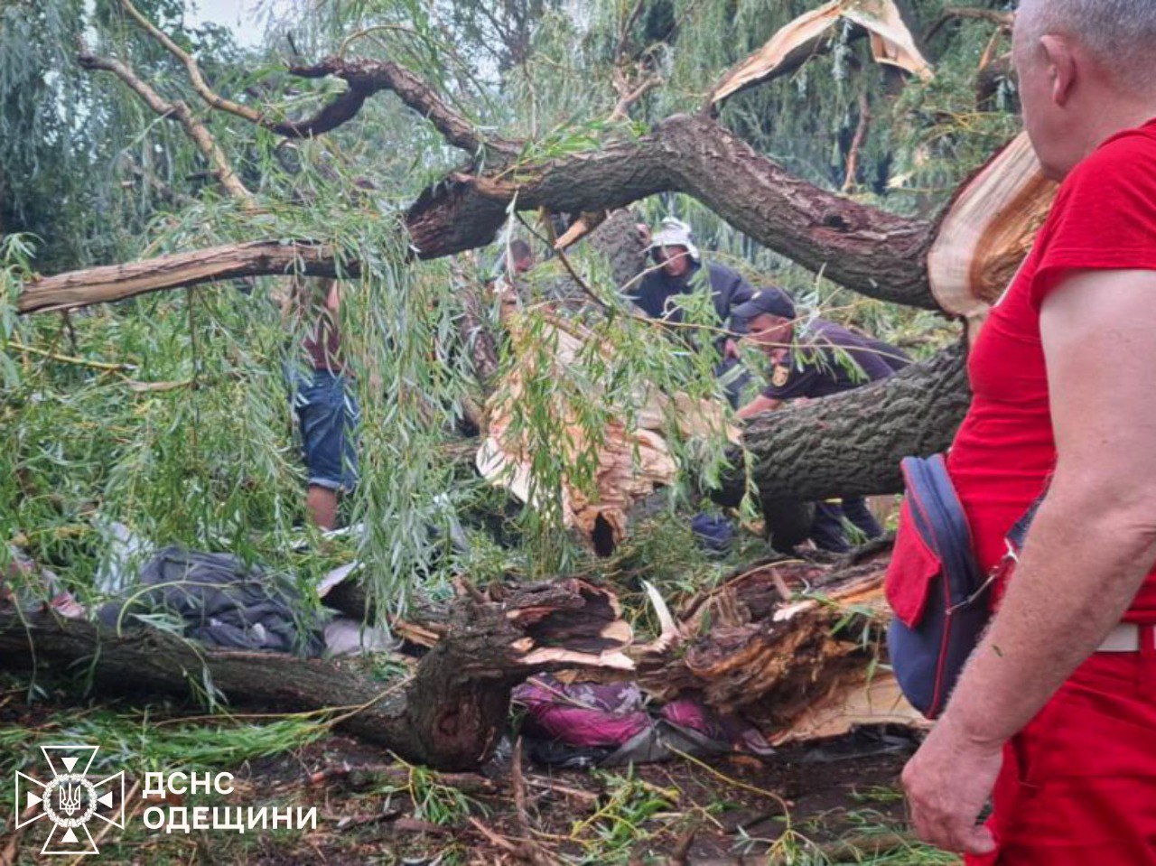 На Одещині внаслідок негоди загинув підліток: дерево впало на намет з дітьми